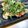 memiko☆'s cooksnap of when they made 鶏ささみ焼鳥さっぱり梅肉のせ.