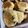 El cooksnap de Carolina Verdun cuando hizo Galleta de avena y pasas de uvas.