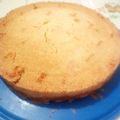 El cooksnap de Abril cuando hizo Torta "Fiaca" de manzana.