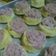 Cooksnap dari Vania Putri untuk resep Bolu Tape Kukus