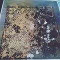 Cooksnap dari Nike Poerbyanti untuk resep Brownies Panggang non gluten ala K'Ringz Kitchen