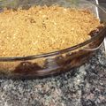 tooba.khurram's cooksnap of when they made Simple apple crisp.