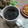 Cooksnap dari Ani Brilian untuk resep Wedang Jahe Kayu Manis ~ With Jeruk Nipis