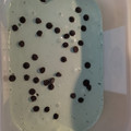 El cooksnap de ANGIE cuando hizo Helado de choco menta.