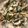 Linda L. 's cooksnap of when they made Cauliflower in Yogurt Sauce.