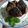Cooksnap dari Yuli Eiji Rich untuk resep Brownies kukus mekar (simple)