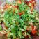 Shital Jataniya's cooksnap of when they made #ટમેટાં ડુંગળી નુ સલાડ=(tamato dungri salad in Gujarati).