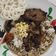 Cooksnap dari Ayu Prameswari untuk resep Rawon Daging