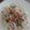 El cooksnap de Liduvikita Vitela cuando hizo Pasta a la crema de champiñones.