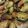 Casey Lynne 's cooksnap of when they made Garlic Roasted Brussel Sprouts.