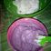 Cooksnap dari Miya Mikayla untuk resep Buttercream Lembut + Kue Tart (tutorial rose petal) ala khey