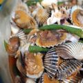 Cooksnap dari Azlia Riskha untuk resep Kerang Dara Saos Padang