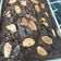 Cooksnap dari Chori Benazir untuk resep 04. Fudgy brownies ---> SHINY CRUST & moist didalam