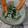 El cooksnap de Vanesa cuando hizo Dip de yogur griego y palta con palitos de zanahoria 🥕🍶🥑 cena low carb, fresca y en 2 minutos 🕒.