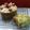 Cooksnap dari elya_fauziah untuk resep Sponge cake army / bolu tantara kempus" no Sp/Bs/Bp