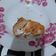 Cooksnap dari Jannah Idrus untuk resep Ayam geprek