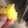 El cooksnap de Leidy Rodríguez Moreale cuando hizo Crema de limón 🍋.