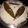 HEMA OZA's cooksnap of when they made પ્લેન રાઈસ(plain rice recipe in Gujarati).