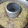 Cooksnap dari Yuni Retnosari untuk resep Bolu Pisang