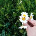 کوک اسنپ Mahbanoo بعد از امتحان کردن عدسی.
