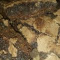 El cooksnap de Jaqueline037 cuando hizo Brownies fáciles.