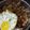 Cooksnap dari Levy untuk resep Daging Tumis Sukiyaki