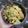 Debanjana Ghosh's cooksnap of when they made আলু কাবলী (Aloo kabli recipe in Bengali).