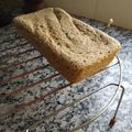El cooksnap de Alines cuando hizo Pan de avena para diabéticos en minutos!  + mermelada de banana express.