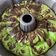 Cooksnap dari threciel untuk resep Keto Chiffon Cake