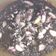 Cooksnap dari Lia Firmansyah untuk resep Cumi Bumbu Hitam