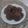 El cooksnap de Andrea Gutiérrez Ladino cuando hizo Galletas Fáciles de Okara y Cacao.