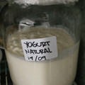 El cooksnap de catherine lopez cuando hizo Yogurt natural casero muy fácil.