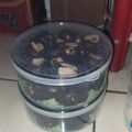 Cooksnap dari Windy Amr untuk resep Bola-Bola Coklat / Egg drops / kue kering lebaran
