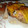 El cooksnap de Danny cole cuando hizo Pollo al horno con alcachofas, boniato y salsa de uva.
