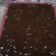 Cooksnap dari nurazizah untuk resep Jenang dodol