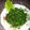 roretta's cooksnap of when they made Indian cucumber salad.