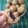 Cooksnap dari Siska Poetri untuk resep Onde-Onde Kacang Hijau (Krispi di luar Lembut di dalam)