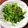 Lin Shu Jhen 的 不會澀澀的蒜炒菠菜 cooksnap
