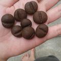 Cooksnap dari Chika Haznifah untuk resep Coffee Bean Cookies