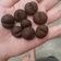 Cooksnap dari Chika Haznifah untuk resep Coffee Bean Cookies