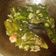 Cooksnap dari Shella Aprilliani untuk resep Ace cabe (Tumis cabe hijau besar)