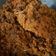 Cooksnap dari Anna Junaidi untuk resep Dendeng ragi daging sapi