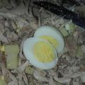 El cooksnap de natali sisi cuando hizo Salpicón de pollo, papa, zanahoria y calabaza.