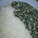 Cooksnap dari Mawaddhah Rachman untuk resep Bolu susu dancow simple