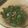 El cooksnap de Eduardo Agudo Alba cuando hizo Judías verdes con bacon.