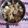 tashvi mavri's cooksnap of when they made Suji halwa.