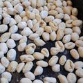 El cooksnap de Malena Rioja cuando hizo Ñoquis de papa o calabaza.