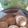 El cooksnap de Estela cuando hizo Galletitas integrales de miel y coco con pasas de uva.