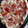 El cooksnap de Emilse López cuando hizo Tarta de jamón, tomate y queso o pizza con pascualina, súper fácil y rápida.