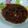 Cooksnap dari Yulie Sushanti untuk resep Daging sapi lada hitam
